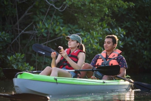 Cancun: Sunset Kayak Experience in the Mangroves