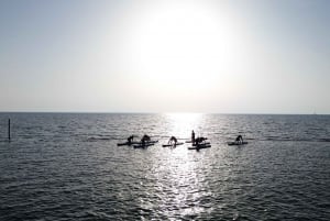 Cancún: Sup Yoga y Meditación sobre el Mar Caribe