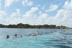 Cancun: Swim and snorkel with Whale Sharks, includes snacks