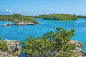 Cancun: Tulum Cenote and Snorkel