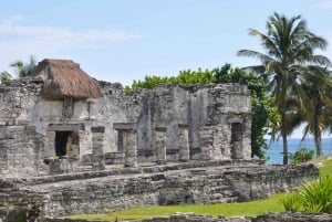 Cancún: Tulum, Coba, Cenote y Playa del Carmen