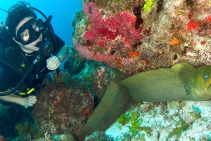 Cancún: Underwater Museum & Reef for Certified Scuba Divers