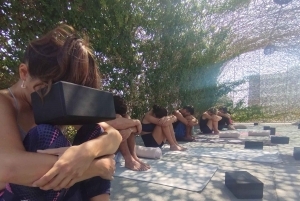 Cancún: Clase de Yin Yoga con Sanación por Sonido y Meditación