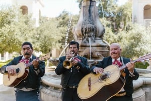 Cantina Tour Ciudad de México: Tour a pie, sorbos y mariachi