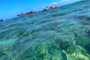 Cartagena: 5 ISLANDS by speedboat with SNORKELING & LUNCH