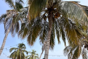 Cartagena: Día completo a la isla con almuerzo, piscina y merienda