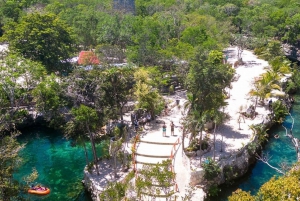 Casa Tortuga Cenote Natural Park Guided Tour