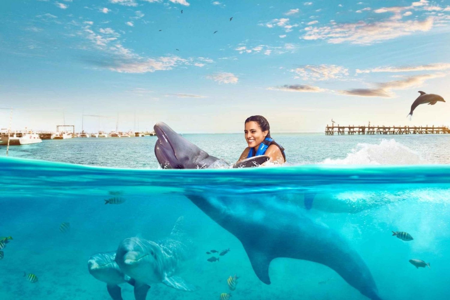 Catamaran to Isla Mujeres and Swim with Dolphins Adventure