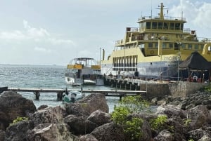 Catamaran Unlimited to Isla Mujeres from Playa del carmen