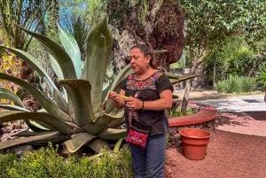 CDMX: Vuelo en Globo y Visita Guiada a Teotihuacán y al Santuario de Guadalupe