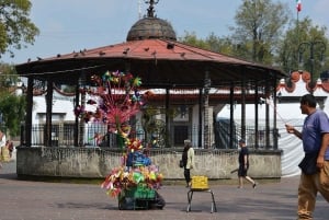 CDMX: Coyoacán, UNAM, Xochimilco, and optional Frida Kahlo Museum