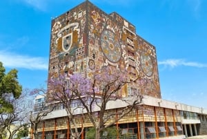 CDMX: Coyoacán, UNAM, Xochimilco, and optional Frida Kahlo Museum