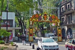 CDMX: Coyoacán, UNAM, Xochimilco, and optional Frida Kahlo Museum