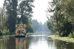 CDMX: Coyoacán, UNAM, Xochimilco, and optional Frida Kahlo Museum