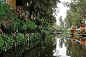 CDMX: Coyoacán, UNAM, Xochimilco, and optional Frida Kahlo Museum