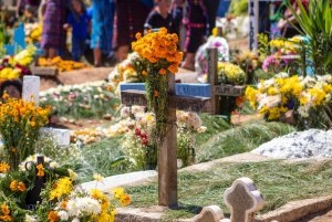 CDMX: Day of the Dead Legends, Ghosts and Mysteries Tour
