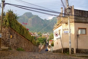 CDMX: Day Tour to Tepoztlán