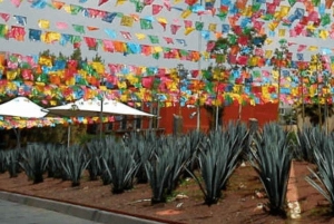 CDMX: Evening Tour to Plaza Garibaldi
