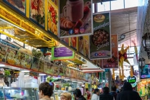 CDMX: Frida Kahlo Diary, Poems and Obsessions