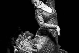 CDMX: Live Flamenco Show and Dinner