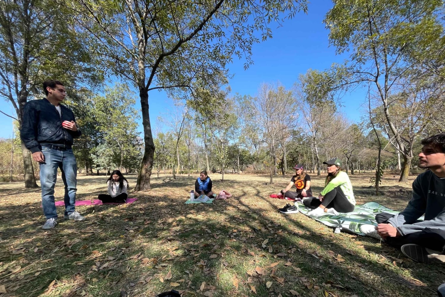 CDMX: Terapia de Naturaleza Sesión Guiada