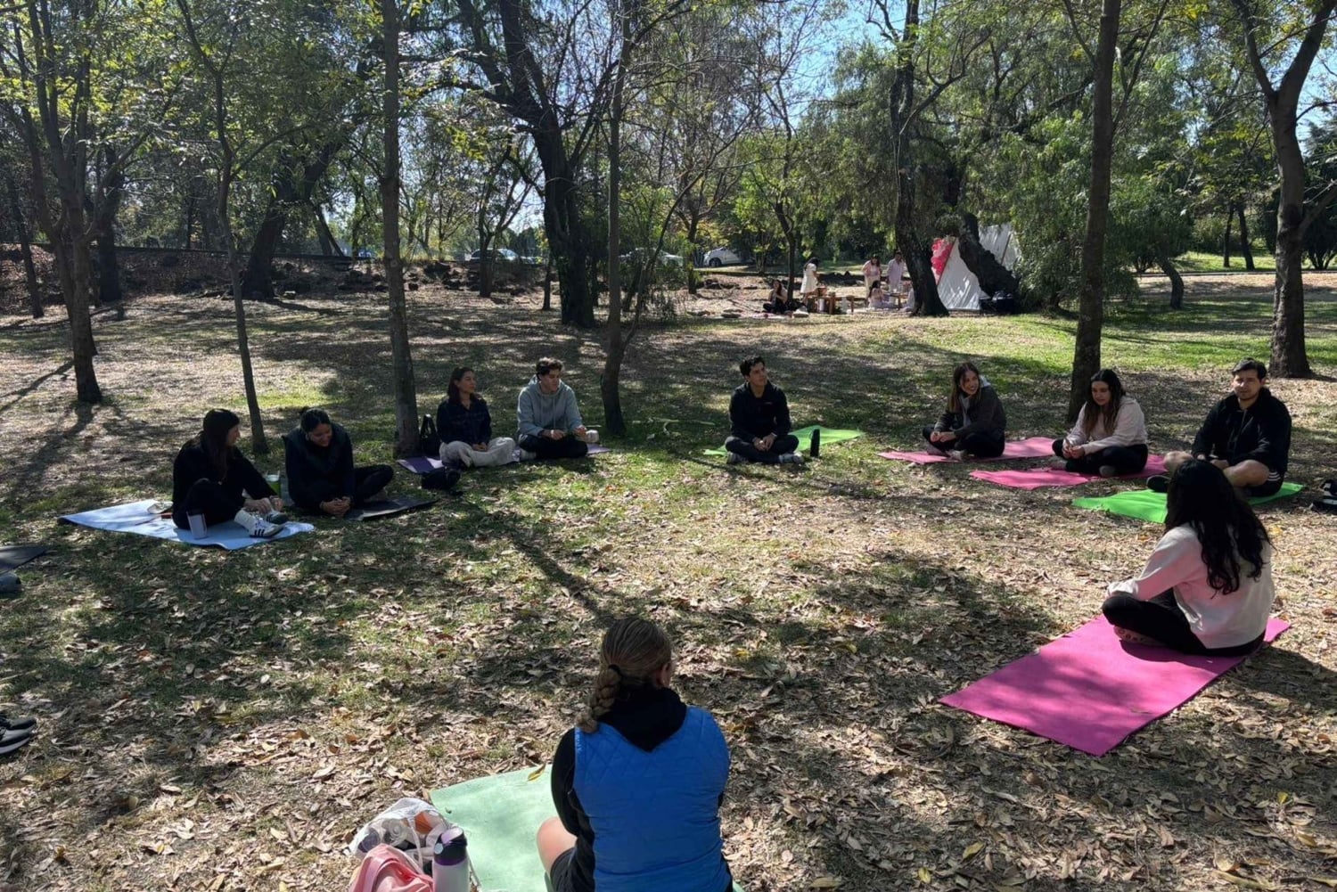 CDMX: Terapia de Naturaleza Sesión Guiada