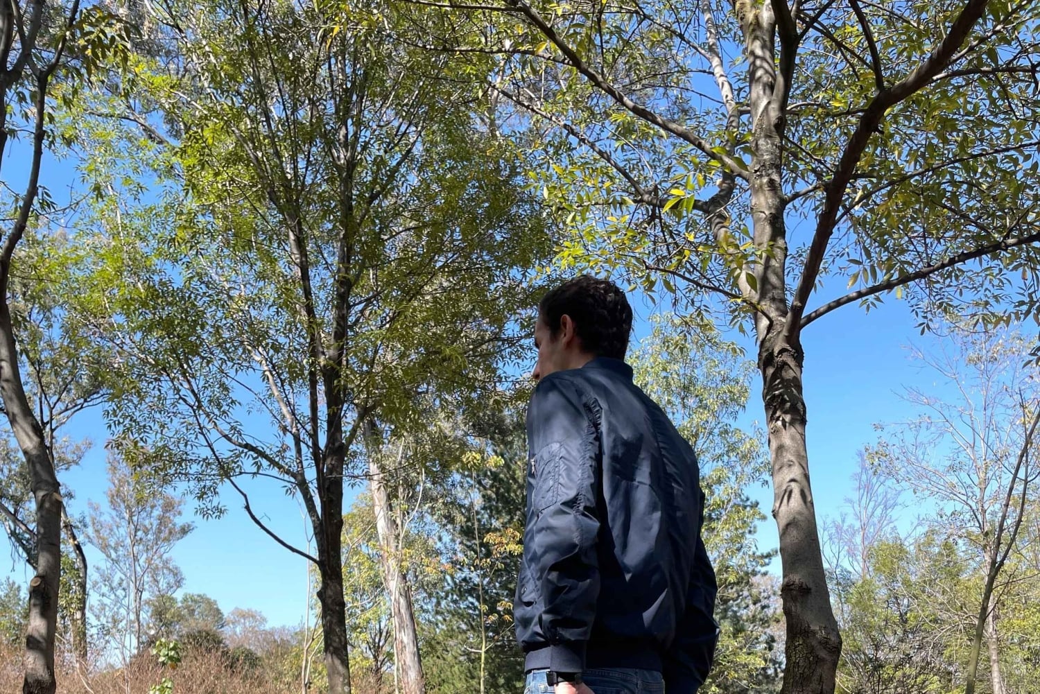 CDMX: Terapia de Naturaleza Sesión Guiada