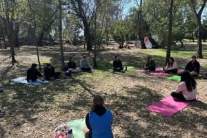 CDMX: Terapia de Naturaleza Sesión Guiada