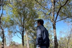 CDMX: Terapia de Naturaleza Sesión Guiada