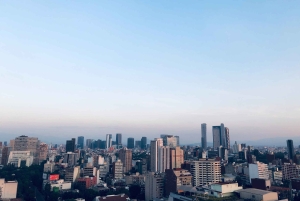 CDMX: Neighborhoods Contrasts Private Tour