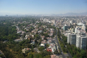 CDMX: Neighborhoods Contrasts Private Tour