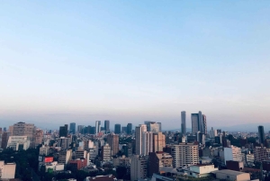 CDMX: Neighborhoods Contrasts Private Tour