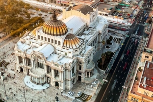 CDMX: Neighborhoods Contrasts Private Tour