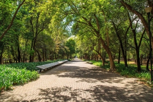 CDMX: Private bicycle tour through the Chapultepec Forest.