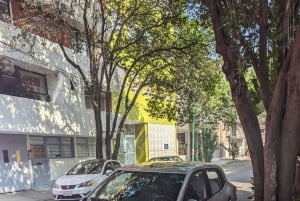 CDMX: Guía privado con transporte (experiencia VIP 4 u 8 horas)