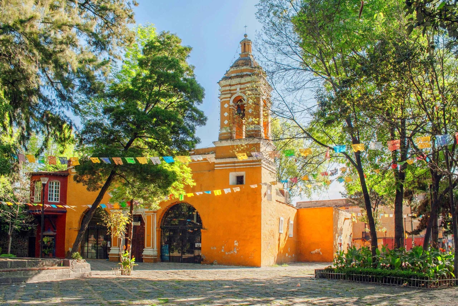 CDMX: Private tour of Xochimilco, Coyoacán, and the Frida Museum