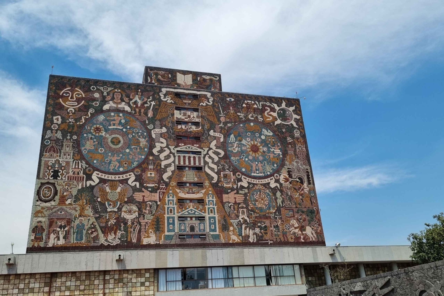 CDMX: Private tour of Xochimilco, Coyoacán, and the Frida Museum