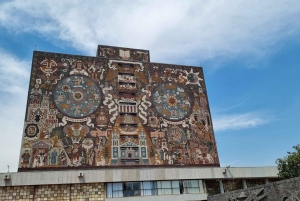 CDMX: Private tour of Xochimilco, Coyoacán, and the Frida Museum