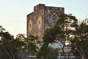 CDMX: Private tour of Xochimilco, Coyoacán, and the Frida Museum