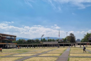 CDMX: Private tour of Xochimilco, Coyoacán, and the Frida Museum