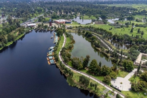 CDMX: Private tour of Xochimilco, Coyoacán, and the Frida Museum