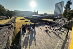 CDMX: Teotihuacan Guided Tour with Guadalupe Basilica Visit