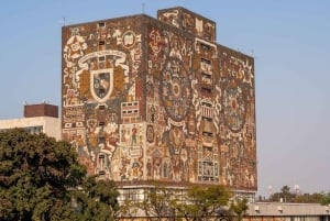 CDMX: Tour of Xochimilco and Coyoacán with option to visit the Frida Kahlo Museum