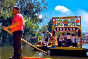 Mexico City: Xochimilco All-Included Boat Party Tour