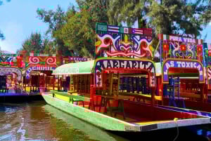 CDMX: Trajinera ride in Xochimilco with tacos, music and drinks