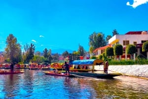CDMX: Trajinera ride in Xochimilco with tacos, music and drinks