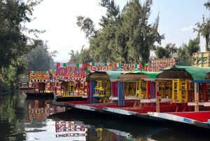 CDMX: Trajinera ride in Xochimilco with tacos, music and drinks