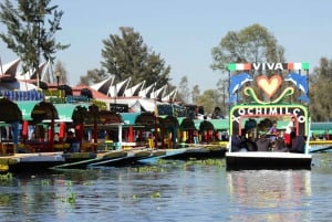 CDMX: Trajinera ride in Xochimilco with tacos, music and drinks