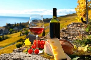 CDMX: Ruta del Vino y el Queso en Querétaro