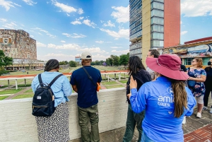 CDMX: Xochimilco, Coyoacan with Frida Kahlo & Optional Lunch